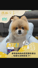 將影片載入圖庫檢視器並播放，gogi寵物舒活水 消除毛孩氣味(從體內) 無添加 保護貓狗腸胃道 600ml x24瓶/箱

